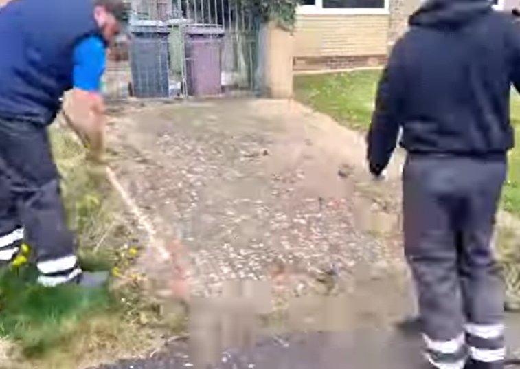 Driveway weeded and power cleaned in Sheffield